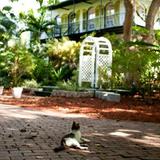 The Hemingway Home