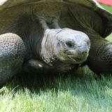 Binder Park Zoo