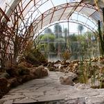 Jardin Botanico-Charco Del Ingenio