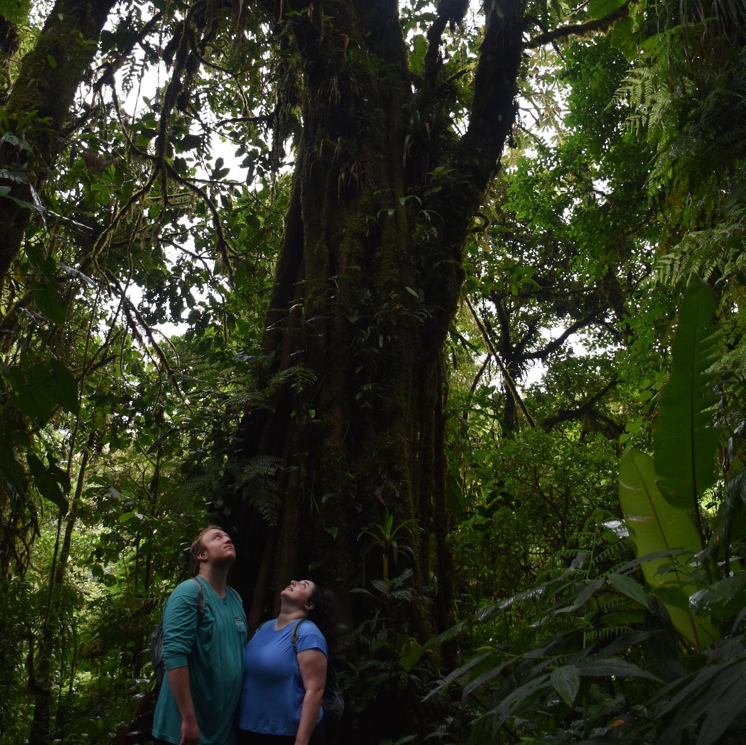 Hiking through the cloud forest in Monteverde, Costa Rica.