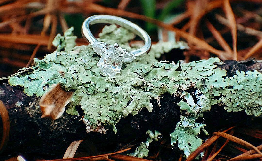 The Wedding Website of Ruth Boggs and Donald Bryant