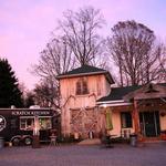Brewing Tree Beer Co.