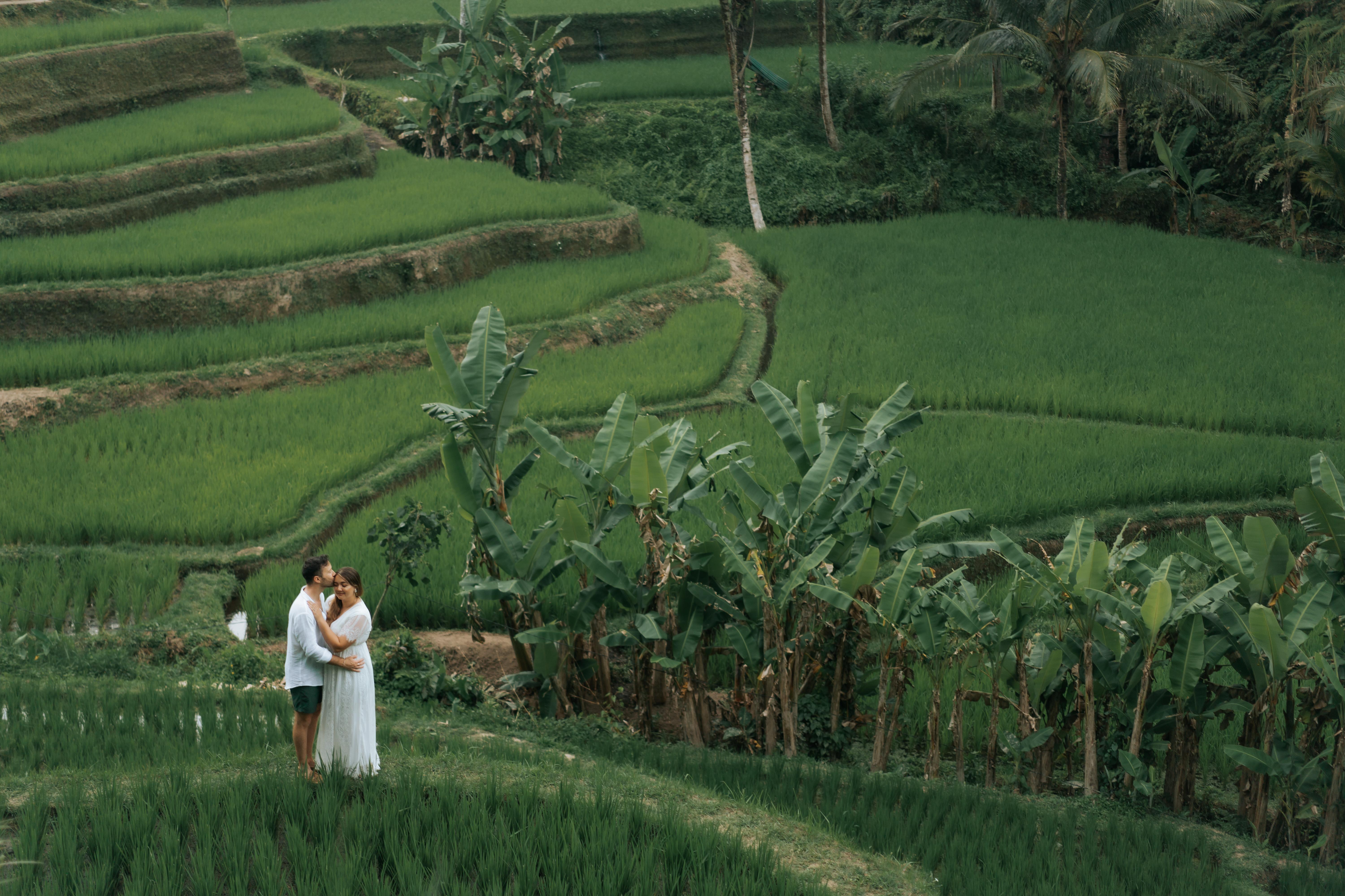 The Wedding Website of Jerrod Johnson and Ariana Ananda