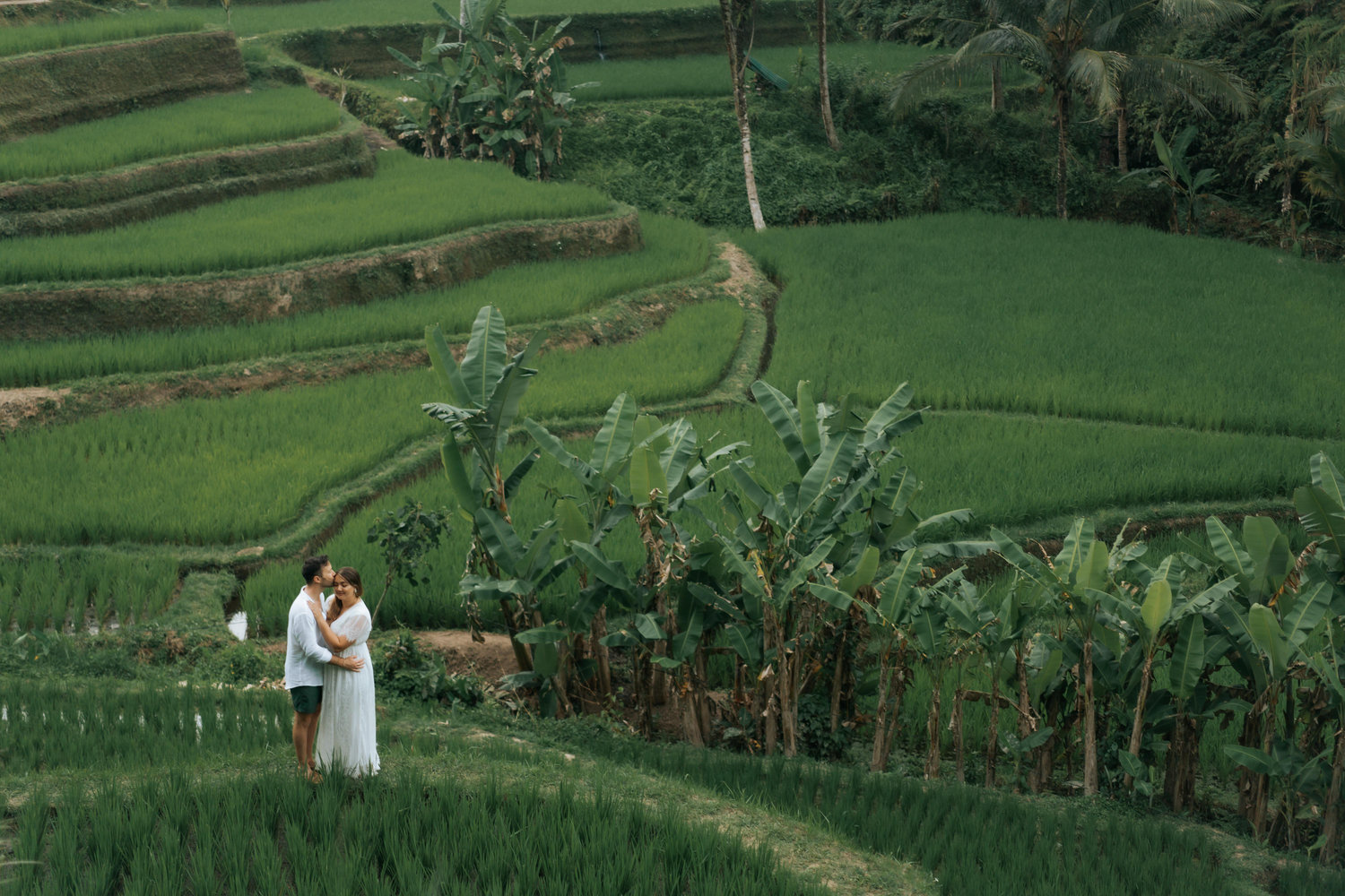 The Wedding Website of Jerrod Johnson and Ariana Ananda