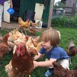 Apple Pond Farming Center