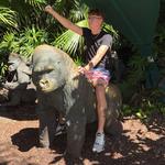 Busch Gardens Tampa Bay