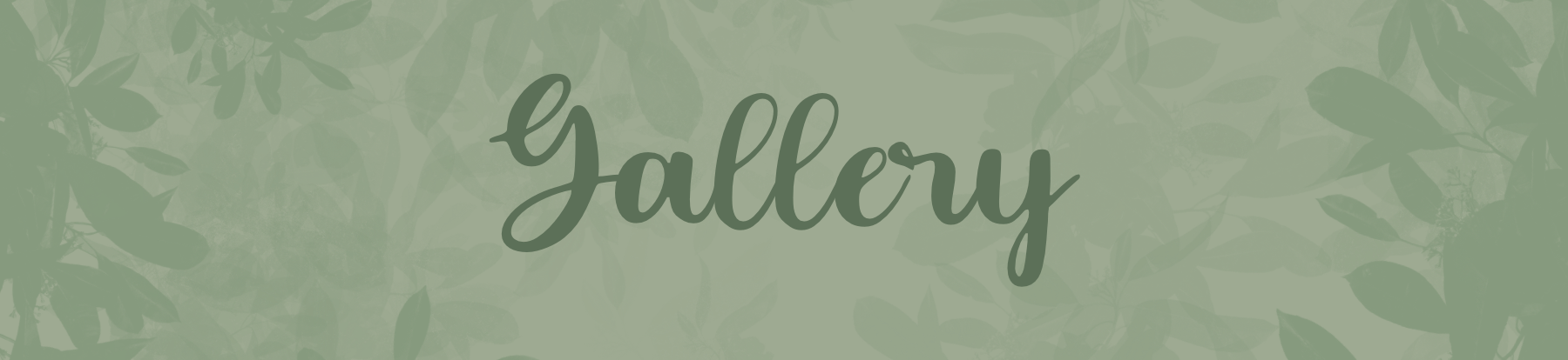 The Wedding Website of Katie Schuette and Joseph Richardson