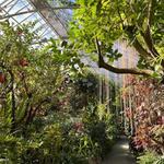 Krohn Conservatory
