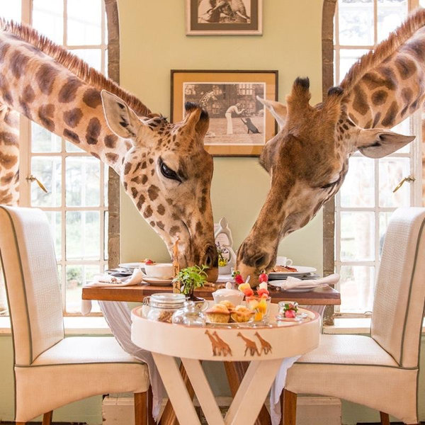 Honeymoon in Kenya and Seychelles