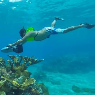 Power Snorkel Tour for 2 - Castries, Saint Lucia