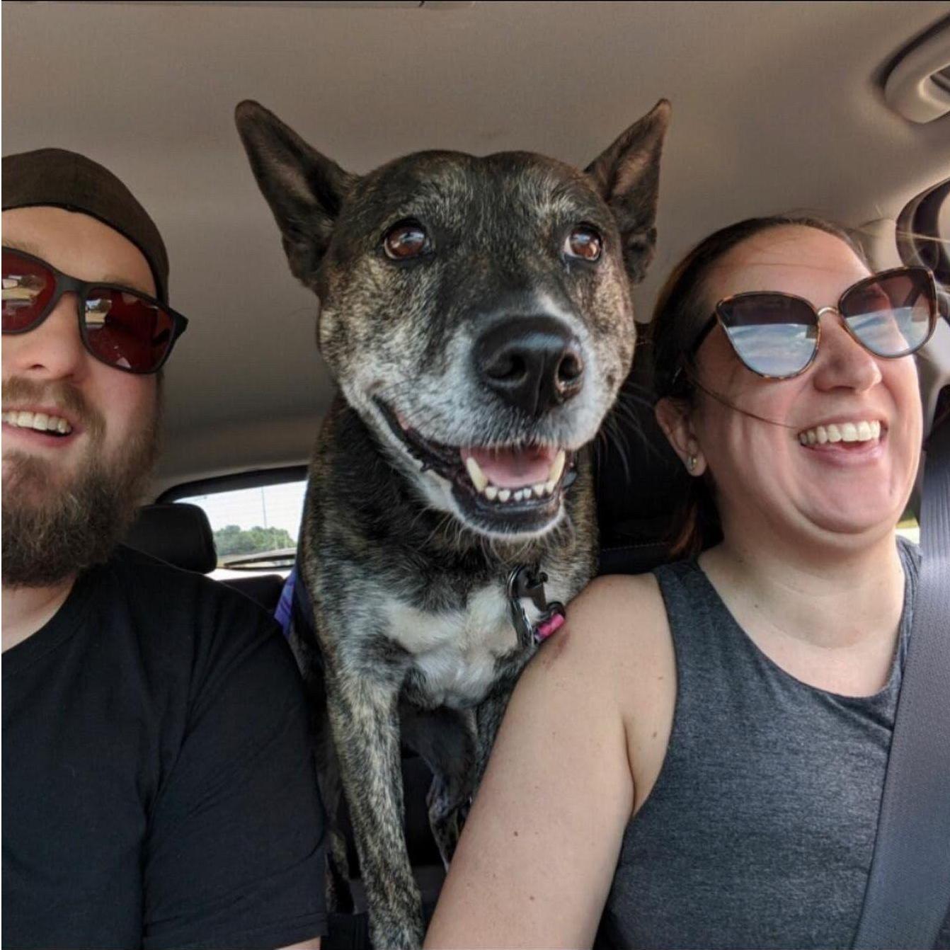 Road trips with Maggie are the best!