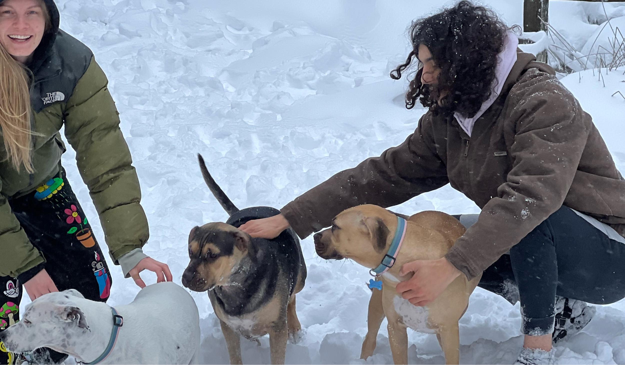 The Wedding Website of Mikaela Mattsson and Jonnathan De Castro