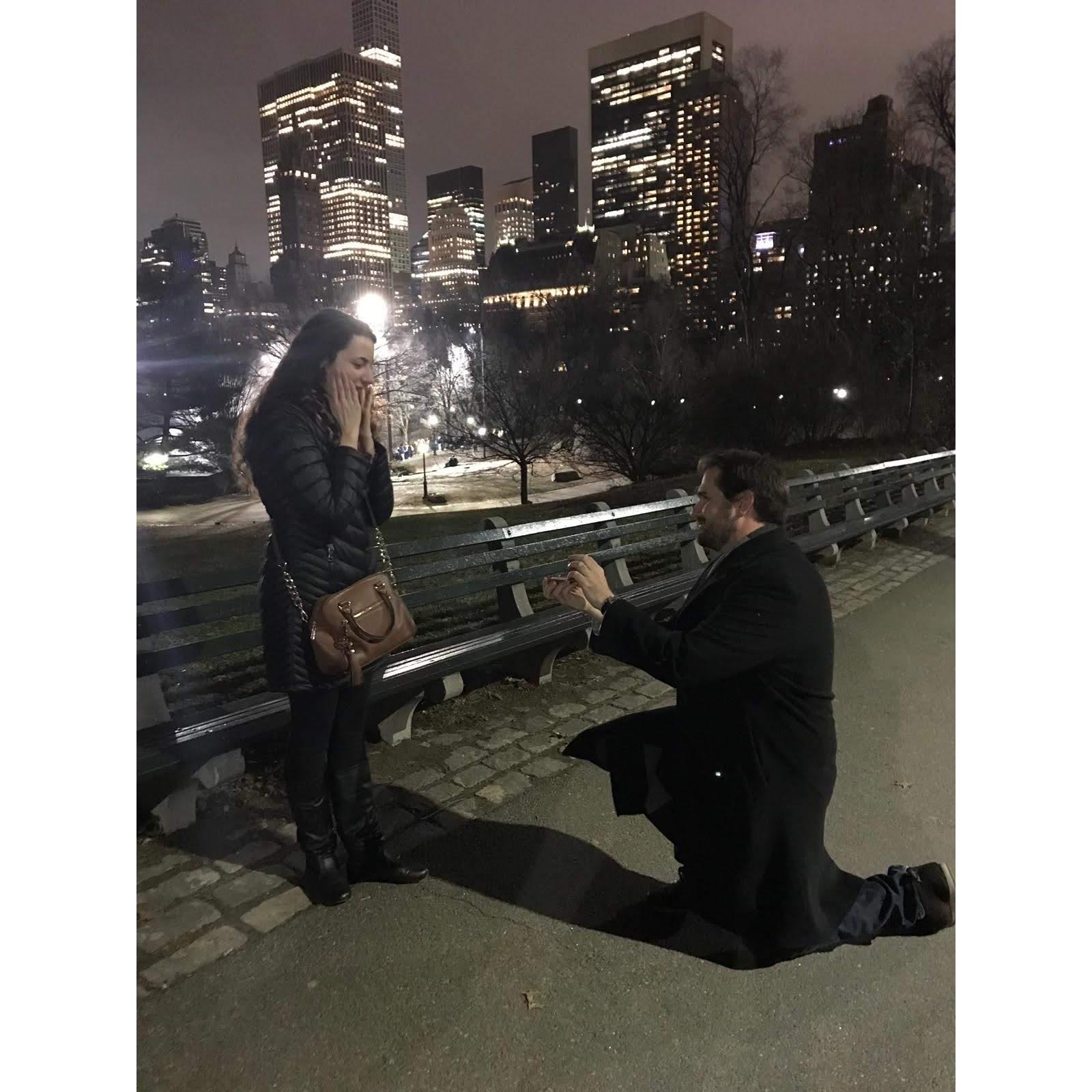 New York City Engagement, 2018