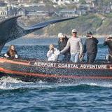 Newport Coastal Adventure