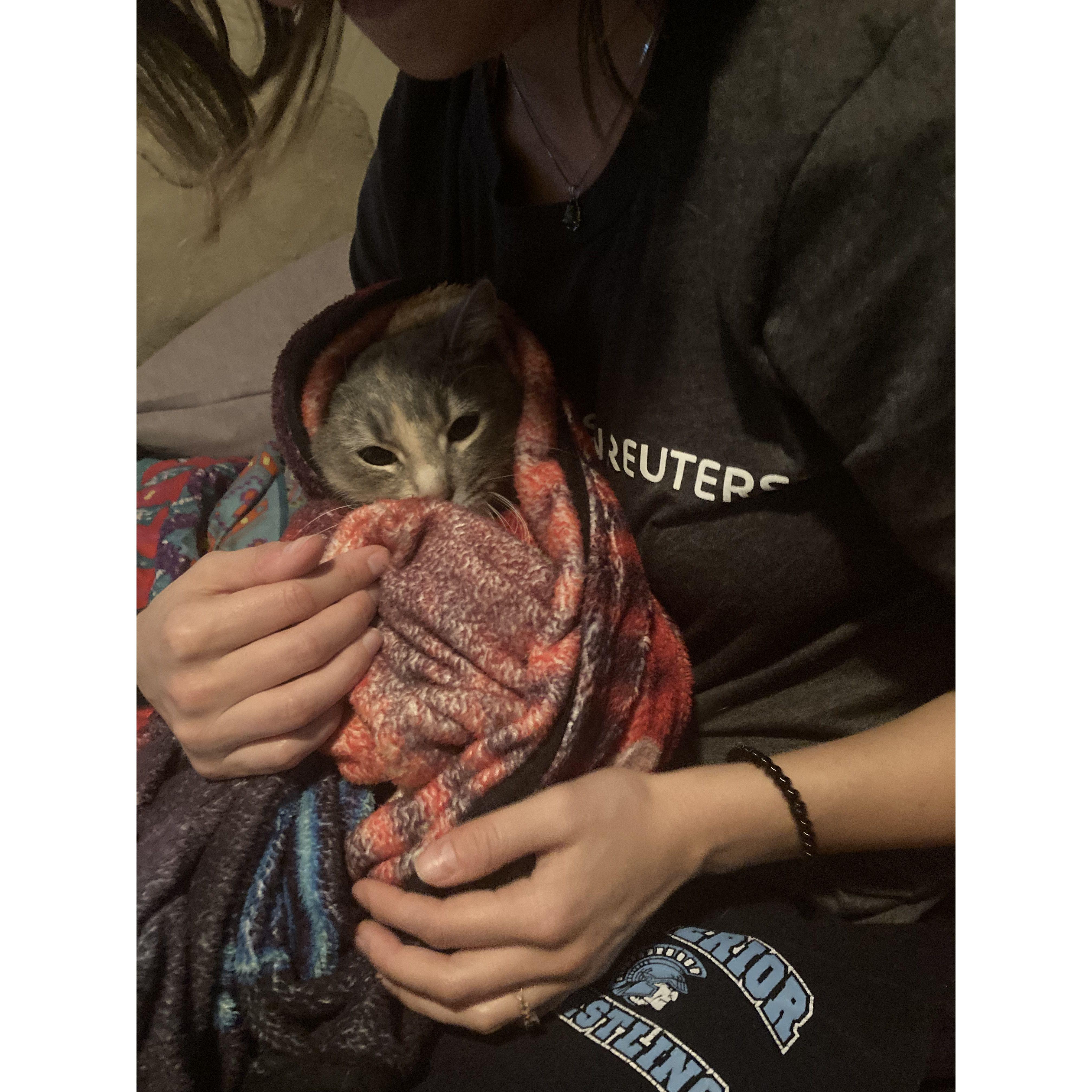Kitty burrito.