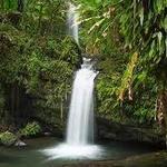El Yunque National Forest