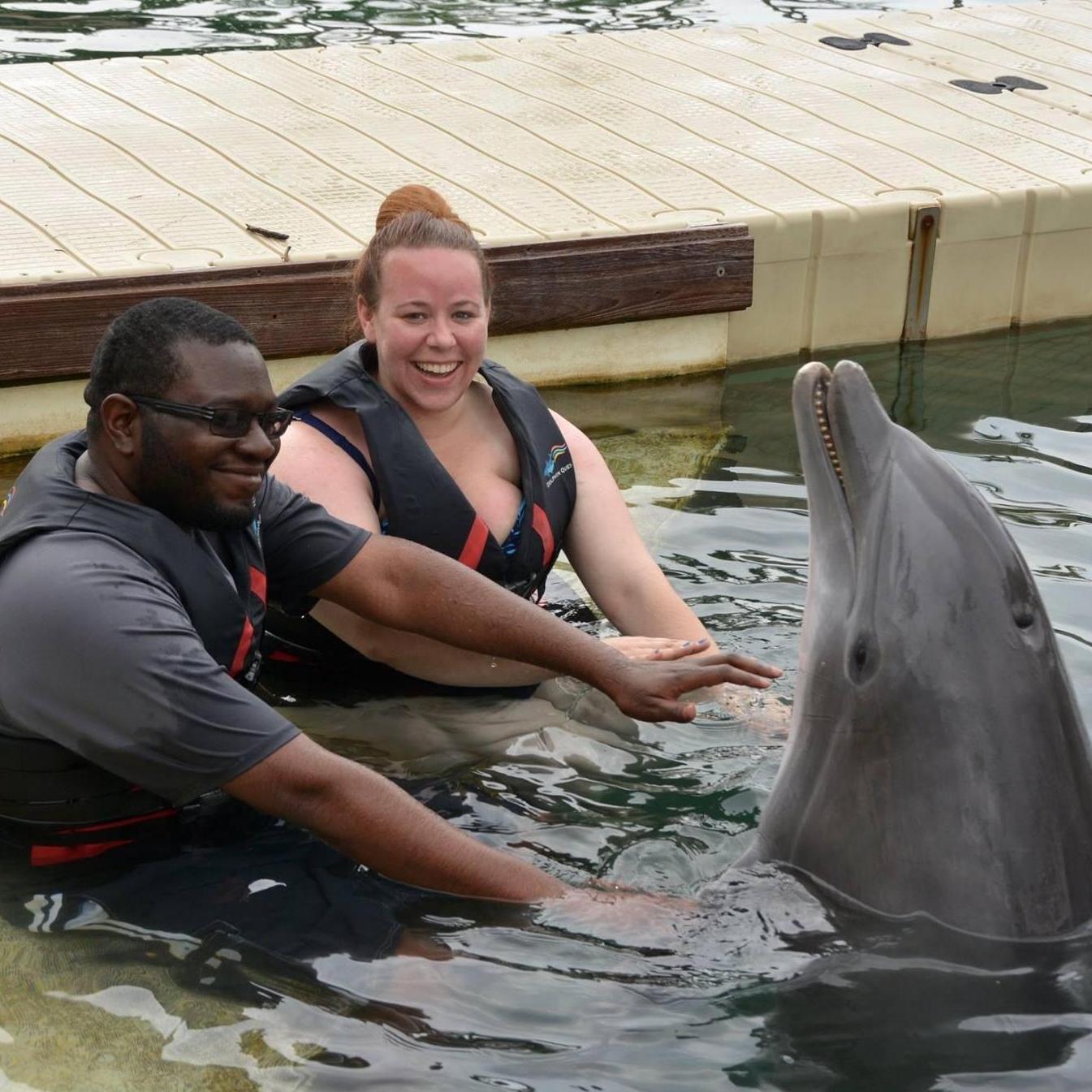 May 2016 - Hawaii, swimming with dolphins