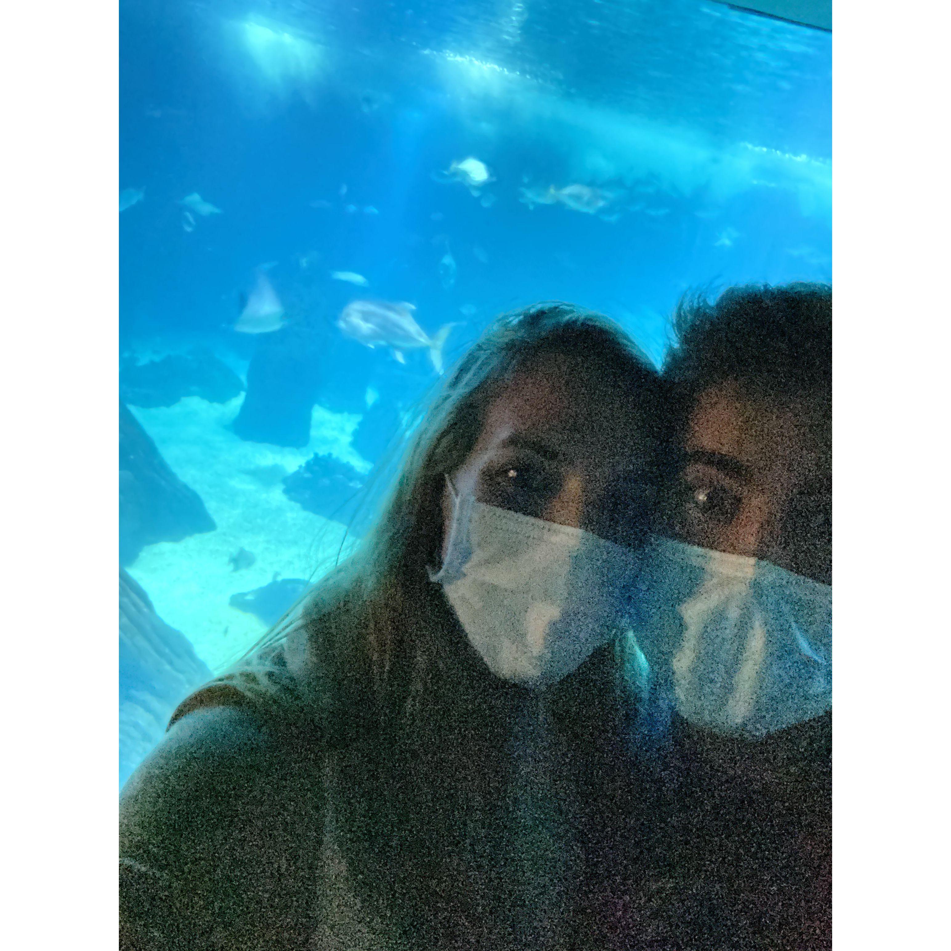 Our date at the Lisbon Oceanário