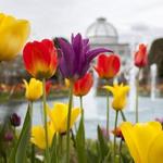 Lewis Ginter Botanical Garden