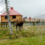 Alaska Wildlife Conservation Center