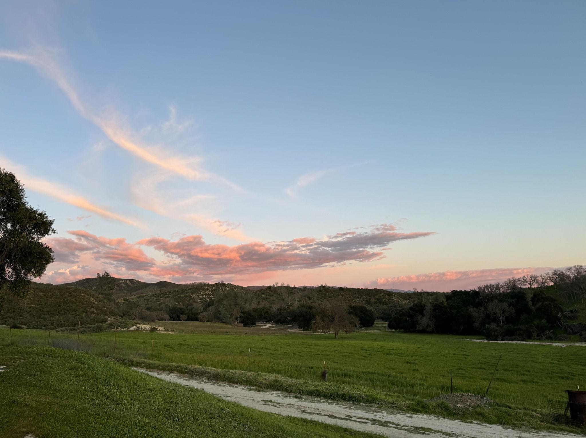 The Wedding Website of Tayler Philbrick and Dakota Towle