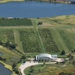 Saltwater Farm Vineyard
