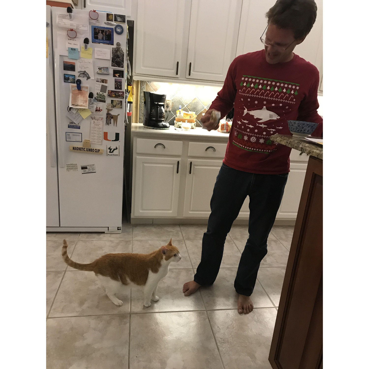 Shark Christmas sweater + cat sums it up