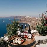 Wine Tasting / Winery Tours