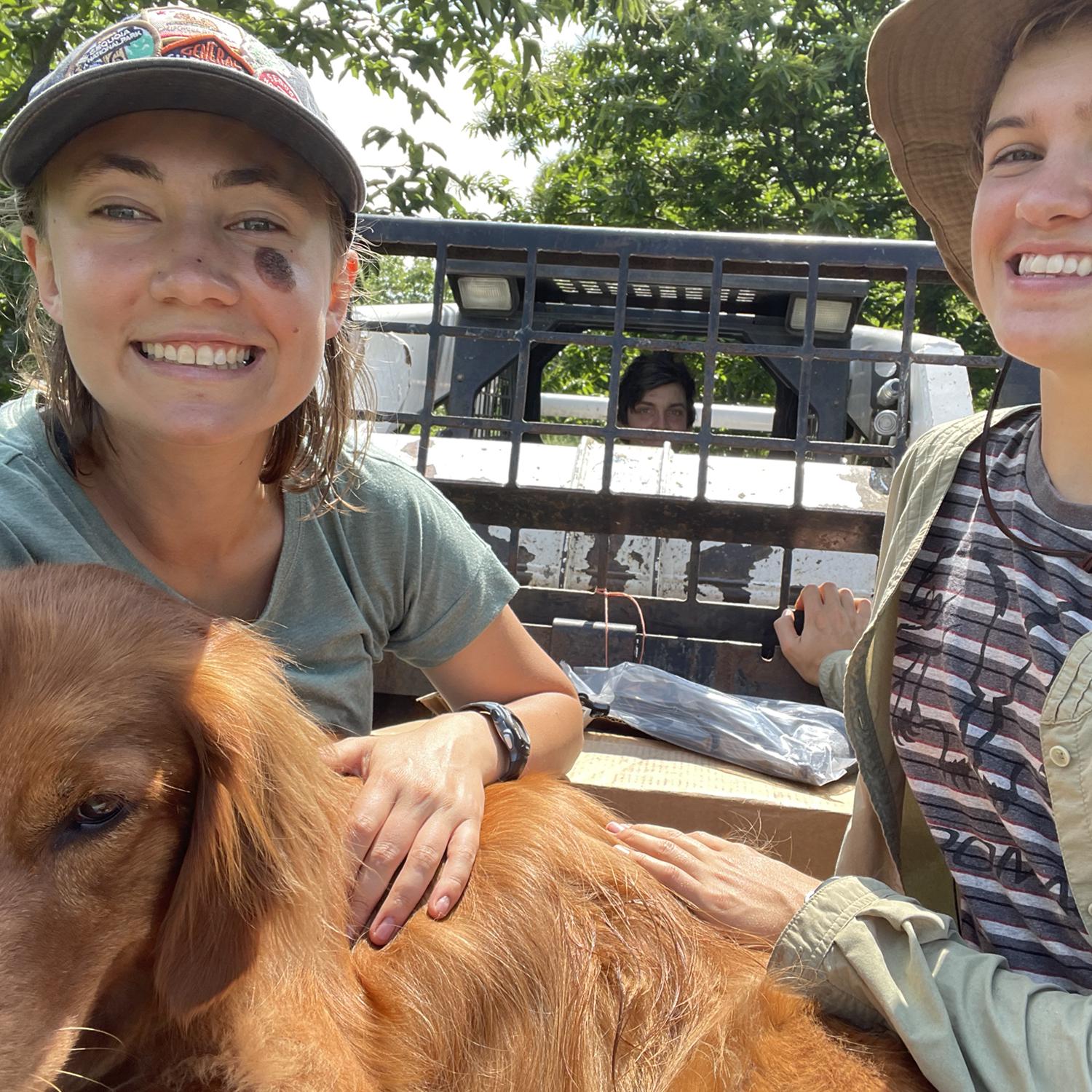 Morgan, Peaches and Lucille in the chestnut tree grove in Ohio.