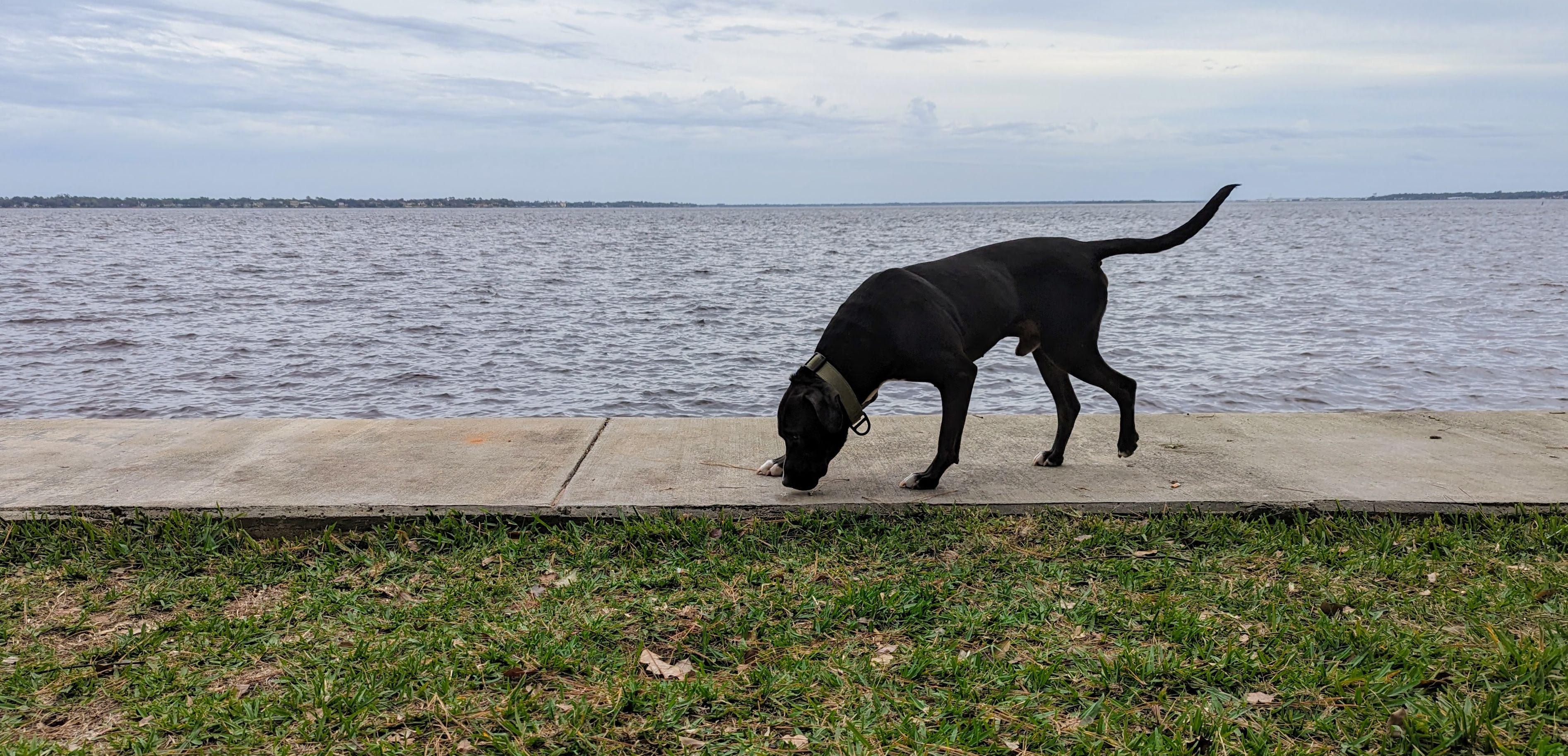 The Wedding Website of Megan Quinn and Zack Funk