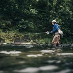 Fly Fishing Colorado