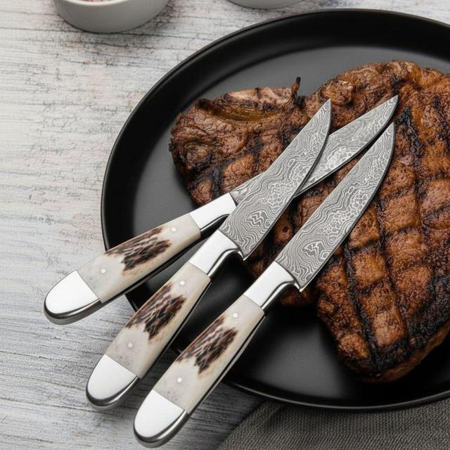 Custom Stag Antler Damascus Steak Knife Set of 4 pcs, BBQ Steak knife, Christmas Gift for Boyfriend & Anniversary