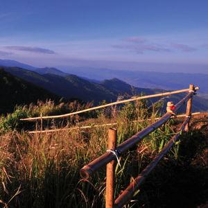 Doi Mae Salong Chinese Village and Tea Plantation Tour - Four Seasons Tented Camp