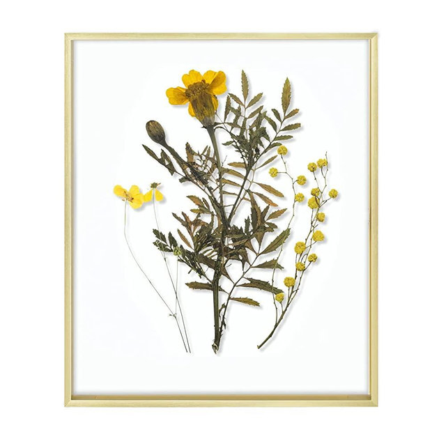 Frametory, Floating Picture Frame 16x20 - Gold Metal Photo Frame - Real Glass - for Wall Mount or Tabletop Displays