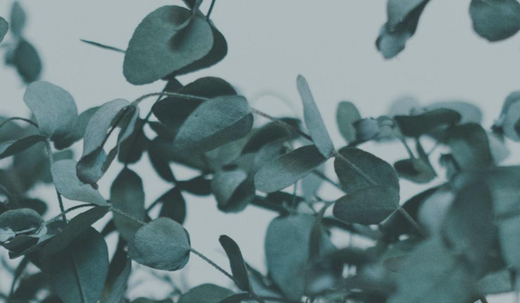 Footer image