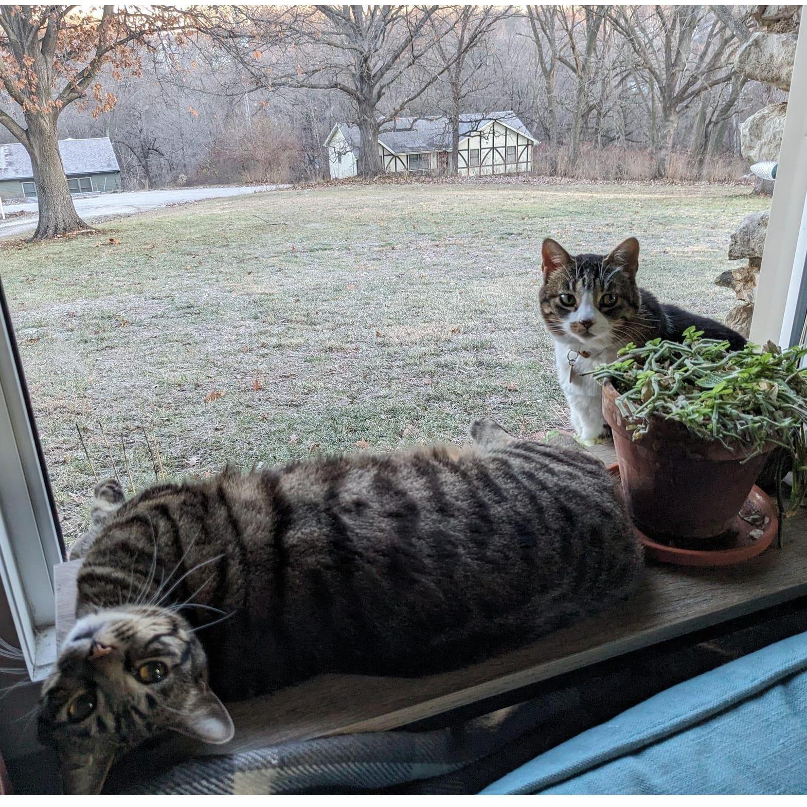 Athena and Margot