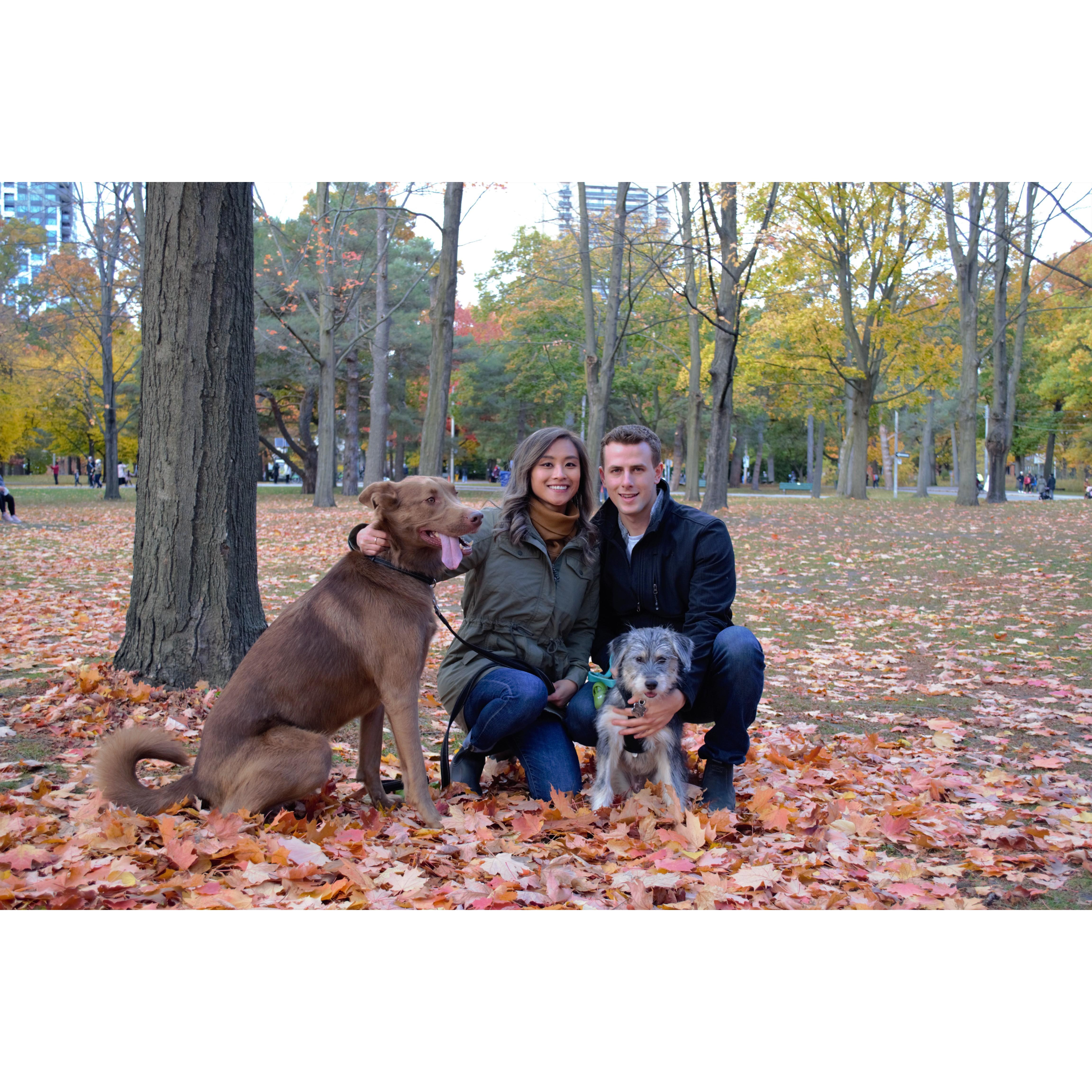 With our new addition, Nymeria, who we adopted late August 2020