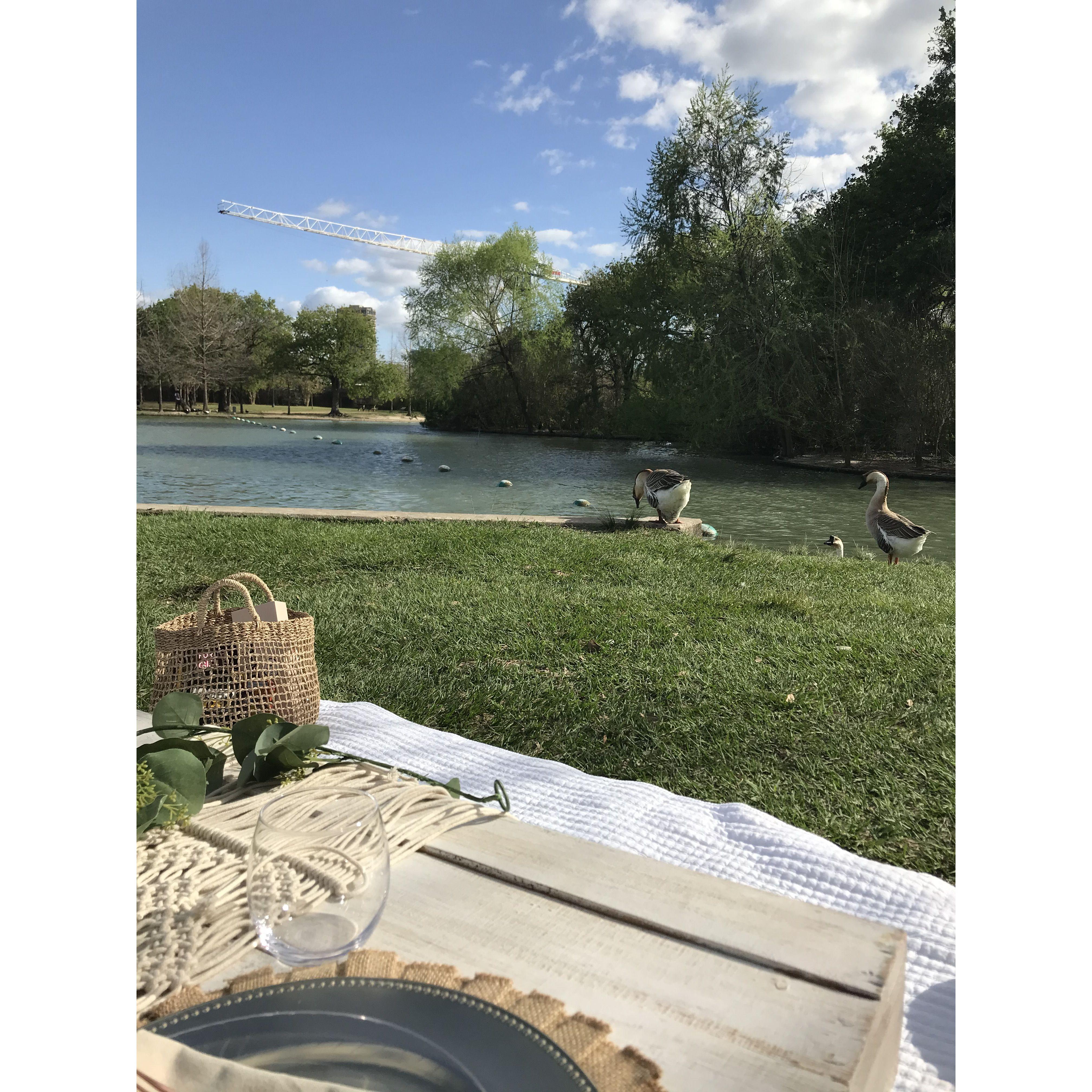 Picnic at Hermann Park