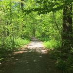 Overton Park
