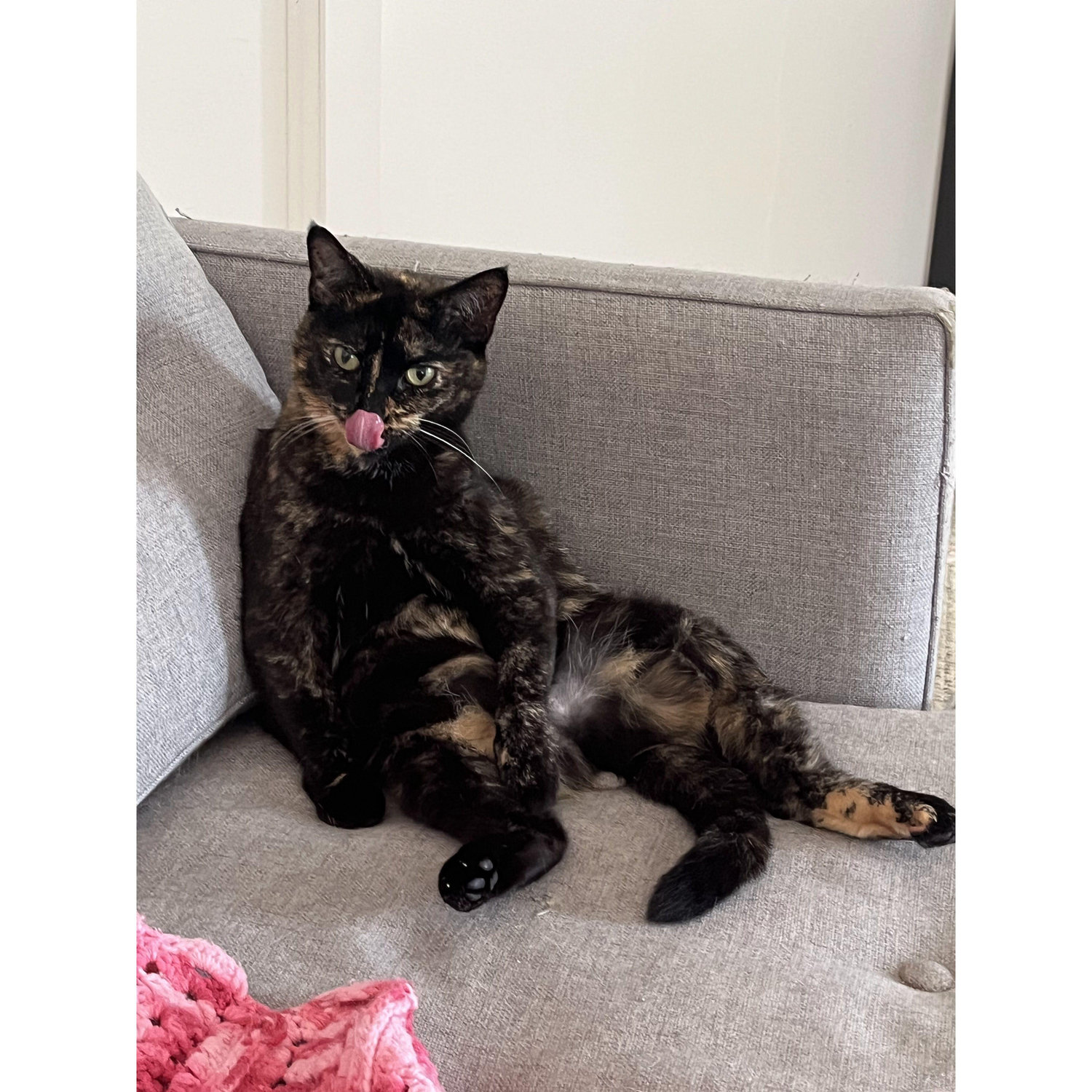 Celeste (the baby) being a silly lady