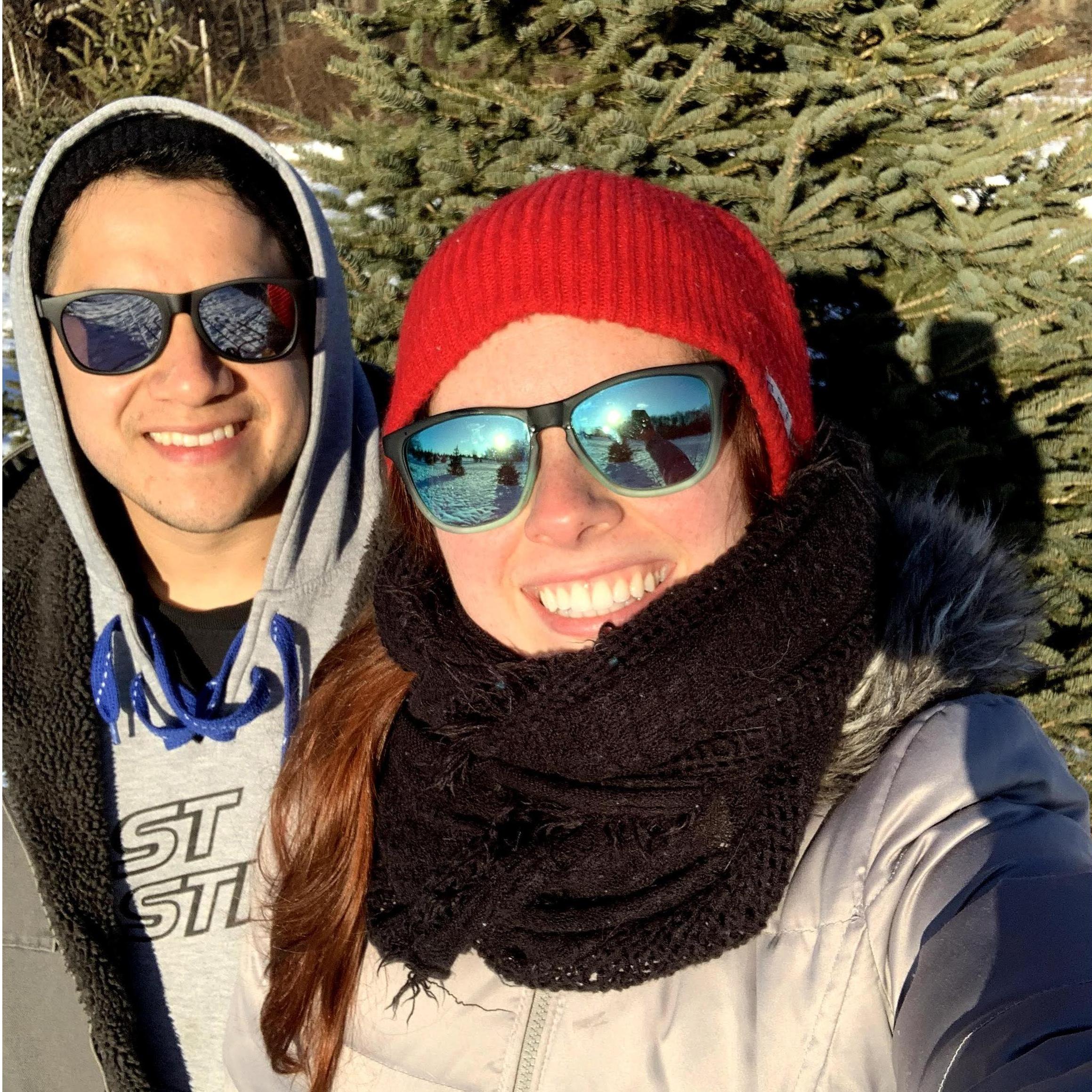 Christmas tree selection; 2019