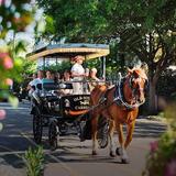 Old South Horse and Carriage Rides