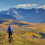 Mountain Biking