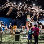 Orlando Science Center