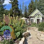 Betty Ford Alpine Gardens