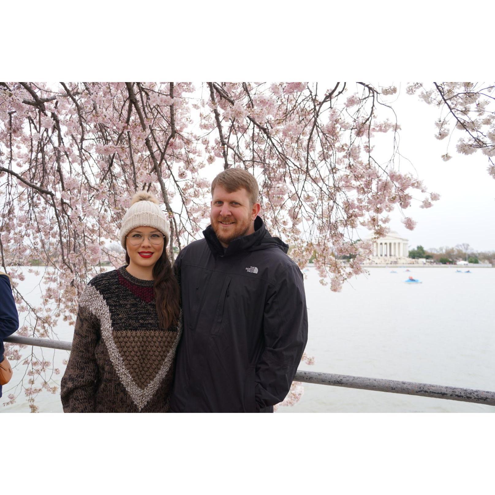 Cherry Blossom Festival, DC