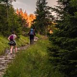 Chanterelle Trail Hike