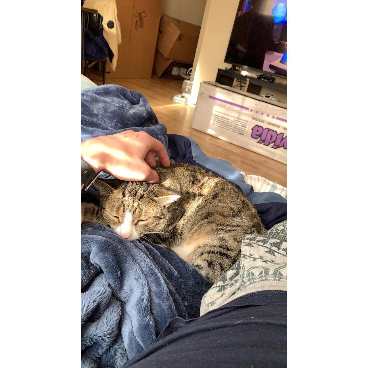 Lucky successfully trying to steal my man