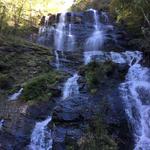 Amicalola Falls State Park