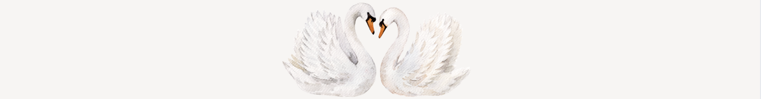 The Wedding Website of Lauren Healy and Luke Dilworth